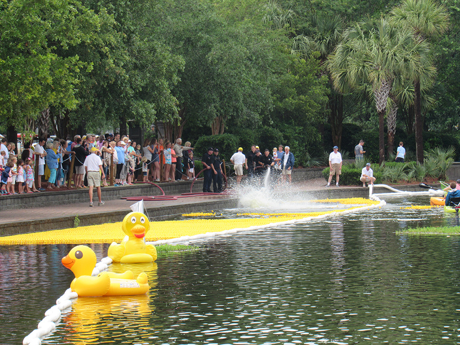 Charleston Duck Race is fun for the whole family!